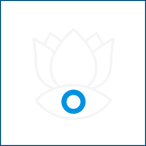 Icon Meditation