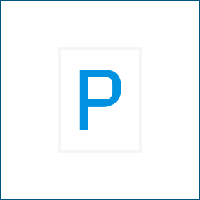 Icon P