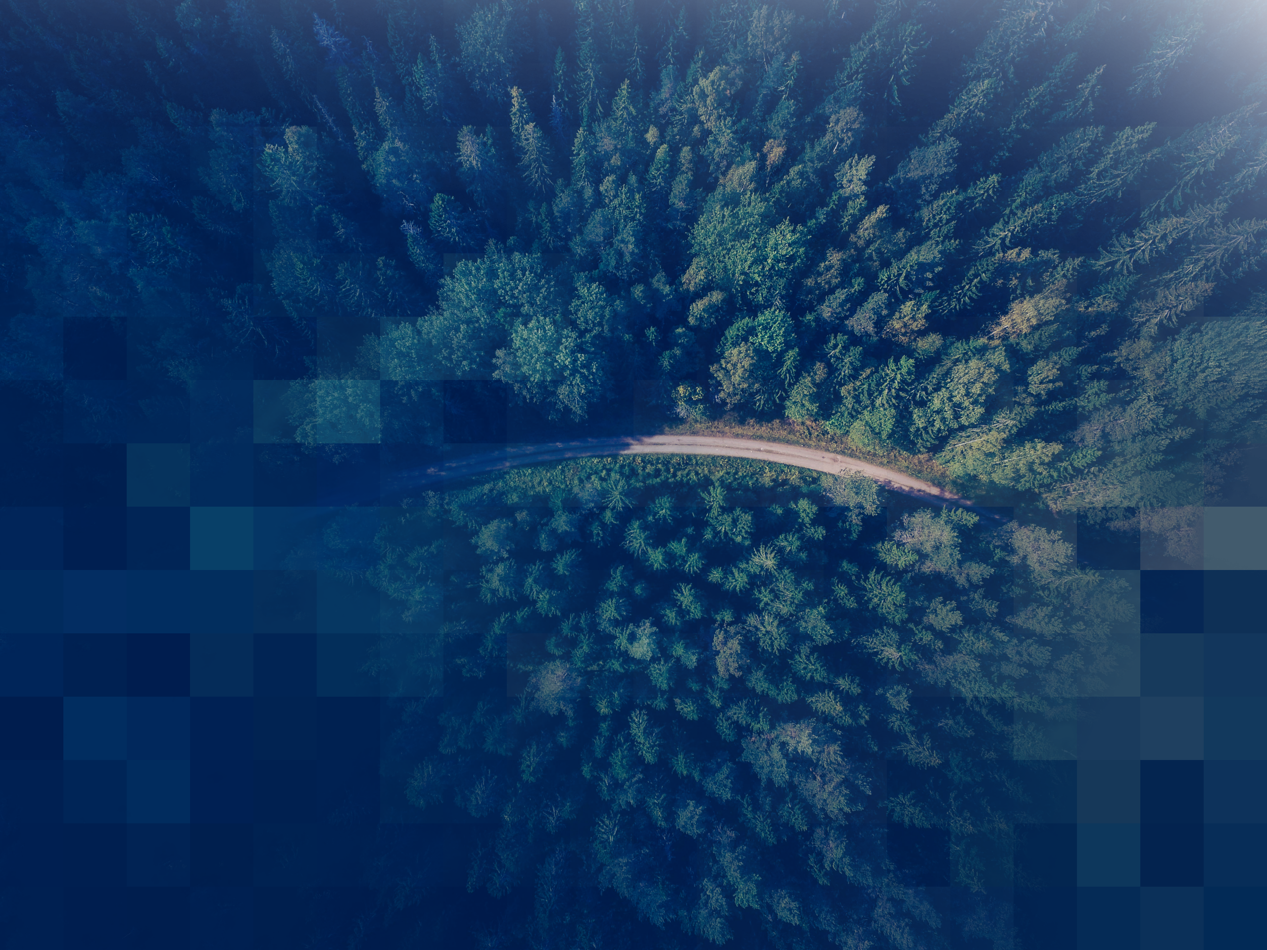 parallax background